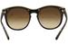 Coach Women's HC8190 HC/8190 Signature Round Sunglasses