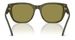 Diesel DL2005 Sunglasses Square Shape