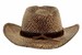 Henschel Men's Walker Austrail-Hand Stained Raffia Western Hat