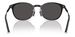 Moncler Barbb ME6011D Sunglasses Round Shape