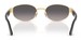 Persol PO1024S Sunglasses Oval Shape
