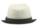 Stetson Men's Contrast Trim Fedora Hat