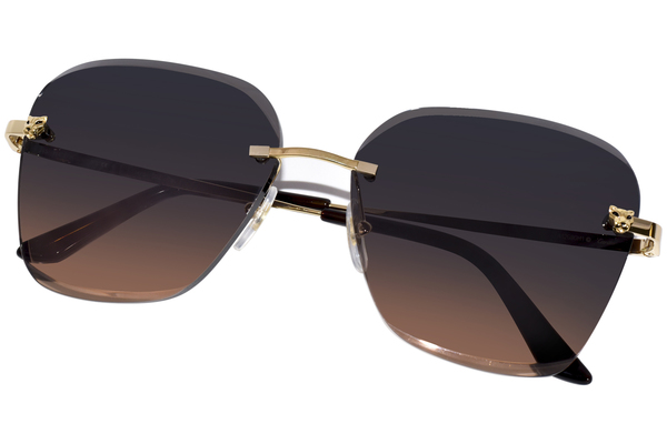 cartier ct0147s