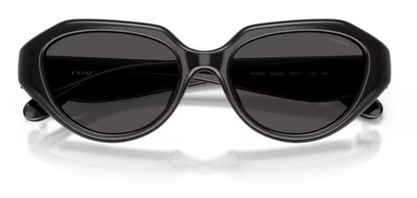  Coach CBY77 HC8433U Sunglasses Women's 