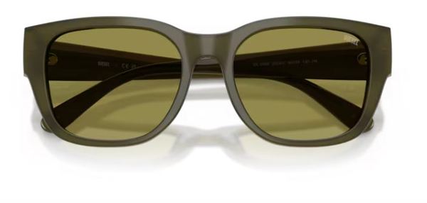  Diesel DL2005 Sunglasses Square Shape 