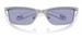 Diesel DL1015 Sunglasses Rectangle Shape