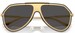 Dolce & Gabbana DG2309 Sunglasses Men's Pilot