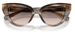Dolce & Gabbana DG4497 Sunglasses Women's Cat Eye