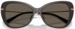 Michael Kors Saint Croix MK2230U Sunglasses Women's Butterfly Shape