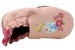 Robeez Disney Mini Shoez Infant Girl's Cinderella Fashion Leather Slip-On Shoes