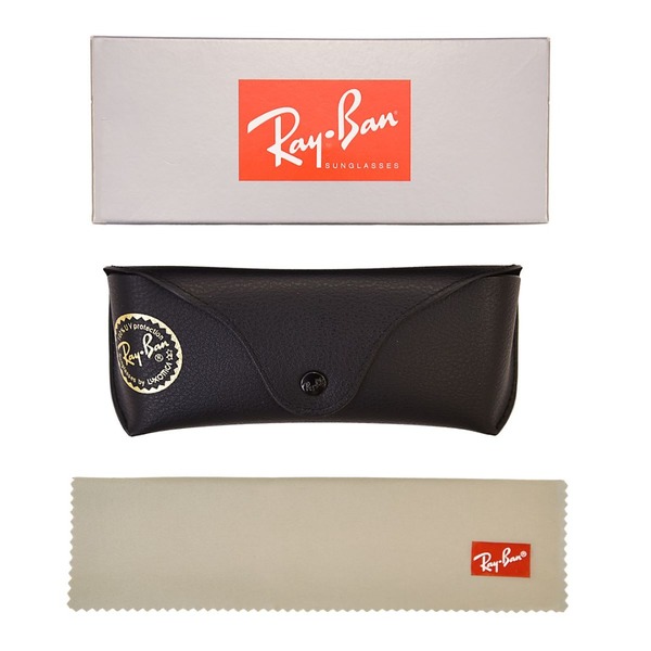  Ray Ban Corrigan RB4397 Sunglasses 