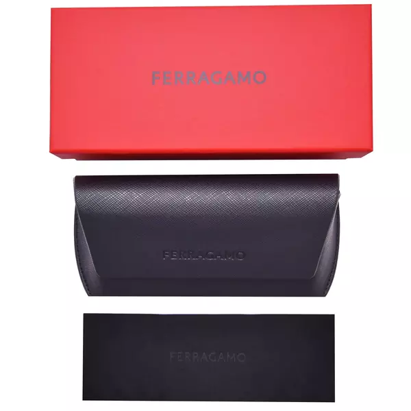  Salvatore Ferragamo SF2036S Sunglasses Women's Rectangle Shape 