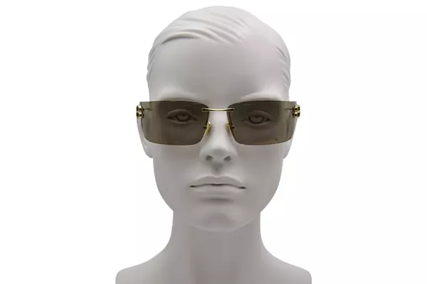  Balenciaga BB0485S Sunglasses Rectangle Shape 
