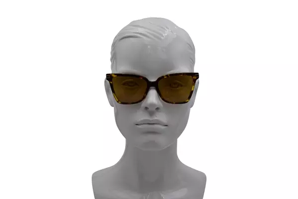  Salvatore Ferragamo SF2036S Sunglasses Women's Rectangle Shape 