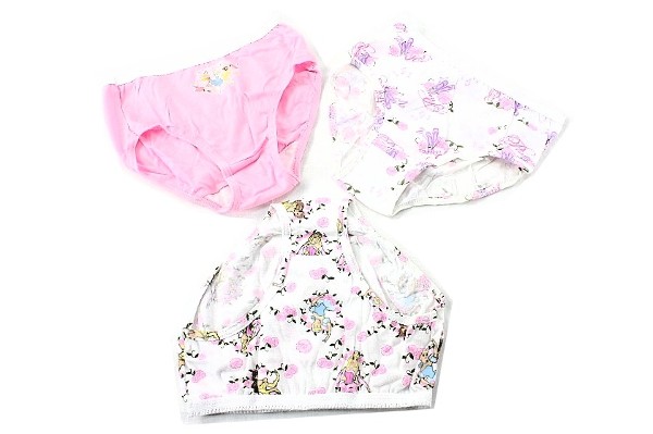  Hanes Girl's 3-Pc Disney Princess Cotton Briefs Panties Underwear 