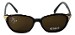 Chloe Sunglasses CL 2250 CL2250 C02 Brown Shades